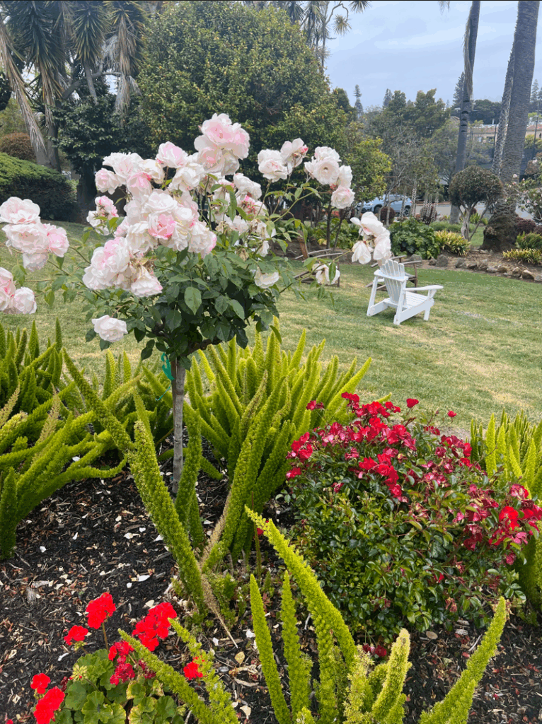 Time to smell the roses